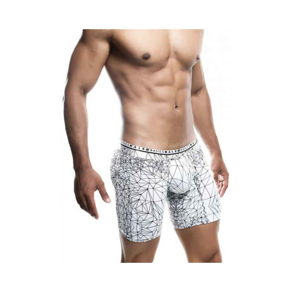 Male Basics Spider Hipster Boxer Brief White/black Md