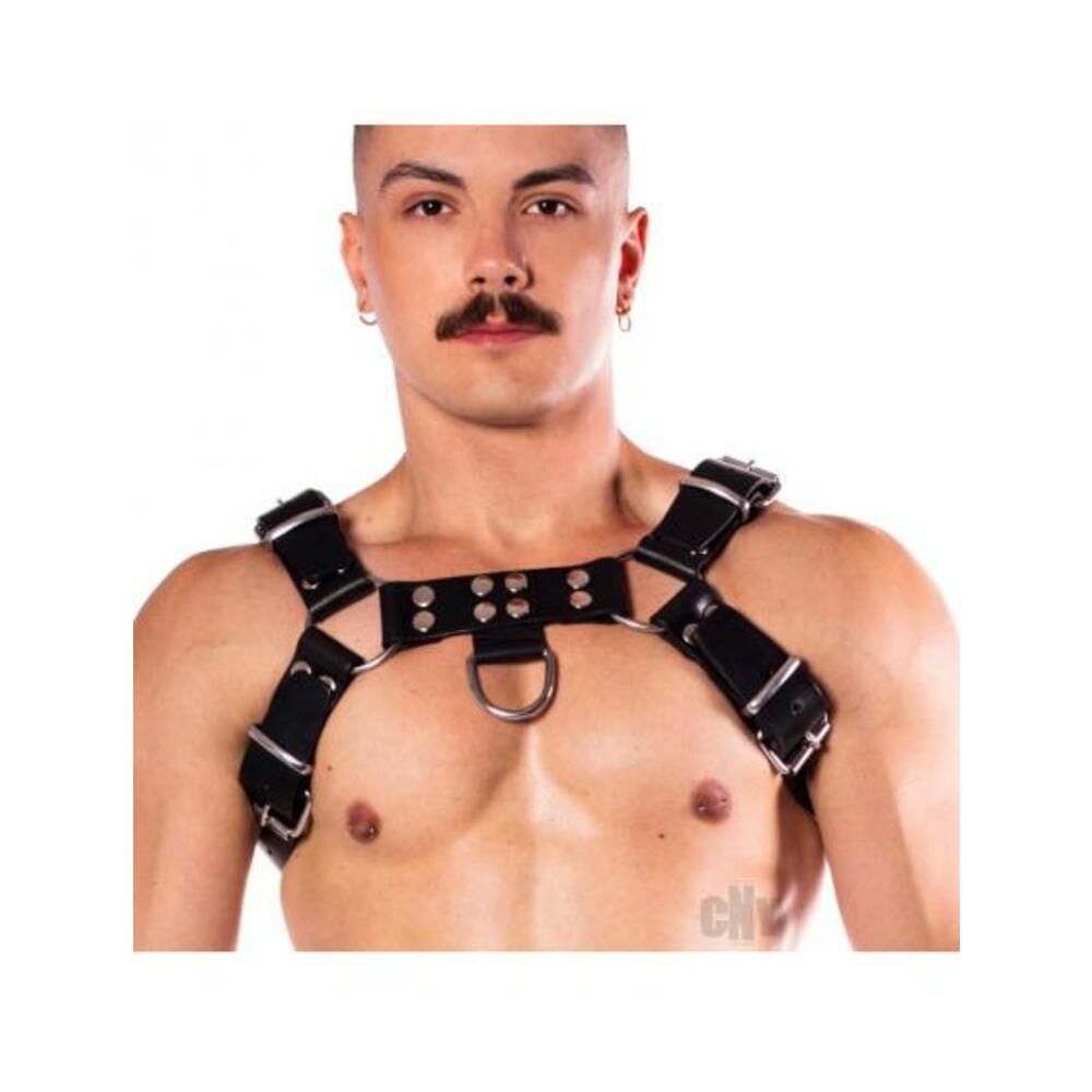 Prowler Red Butch Harness Prem Blk Md