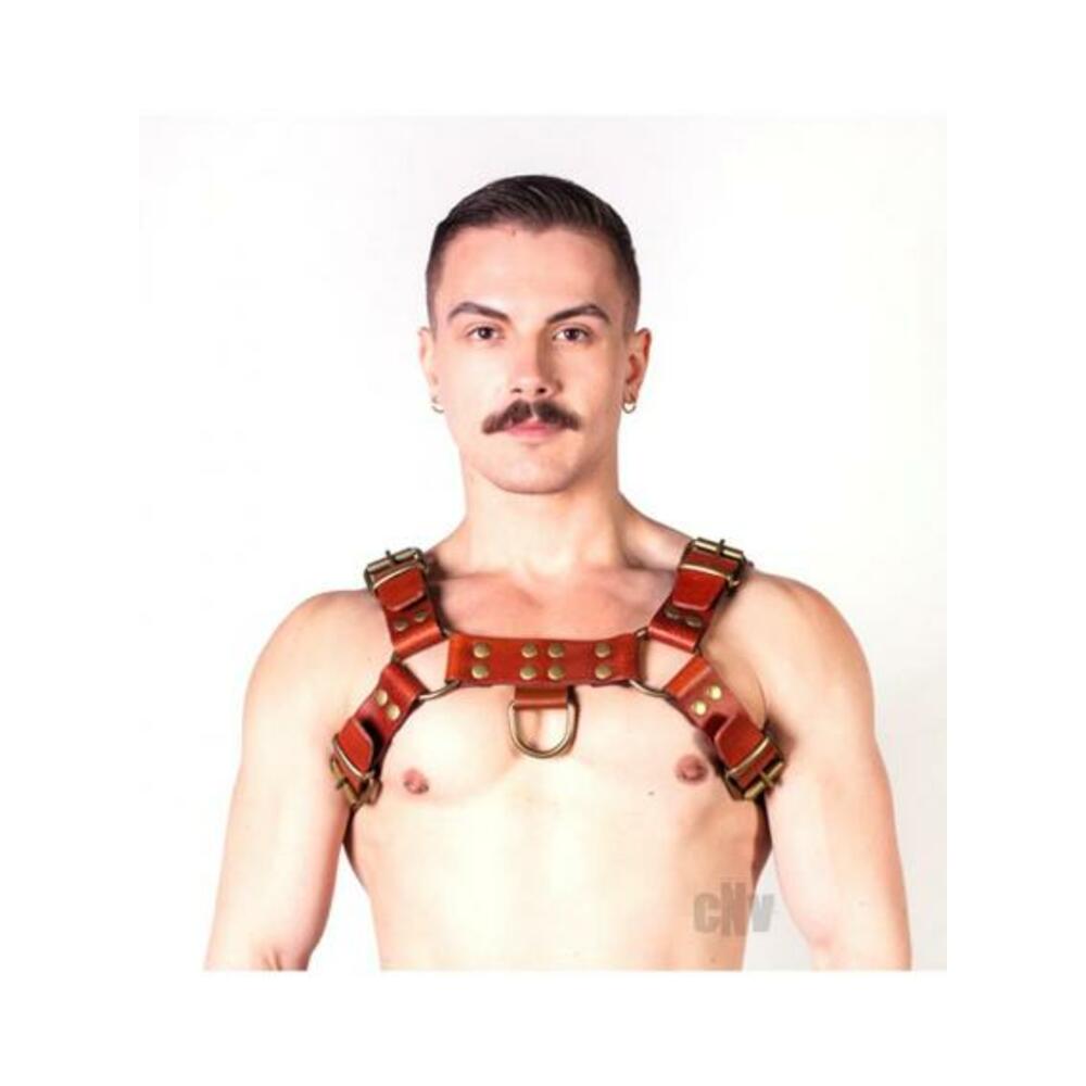 Prowler Red Butch Harness Brn/brs Xl