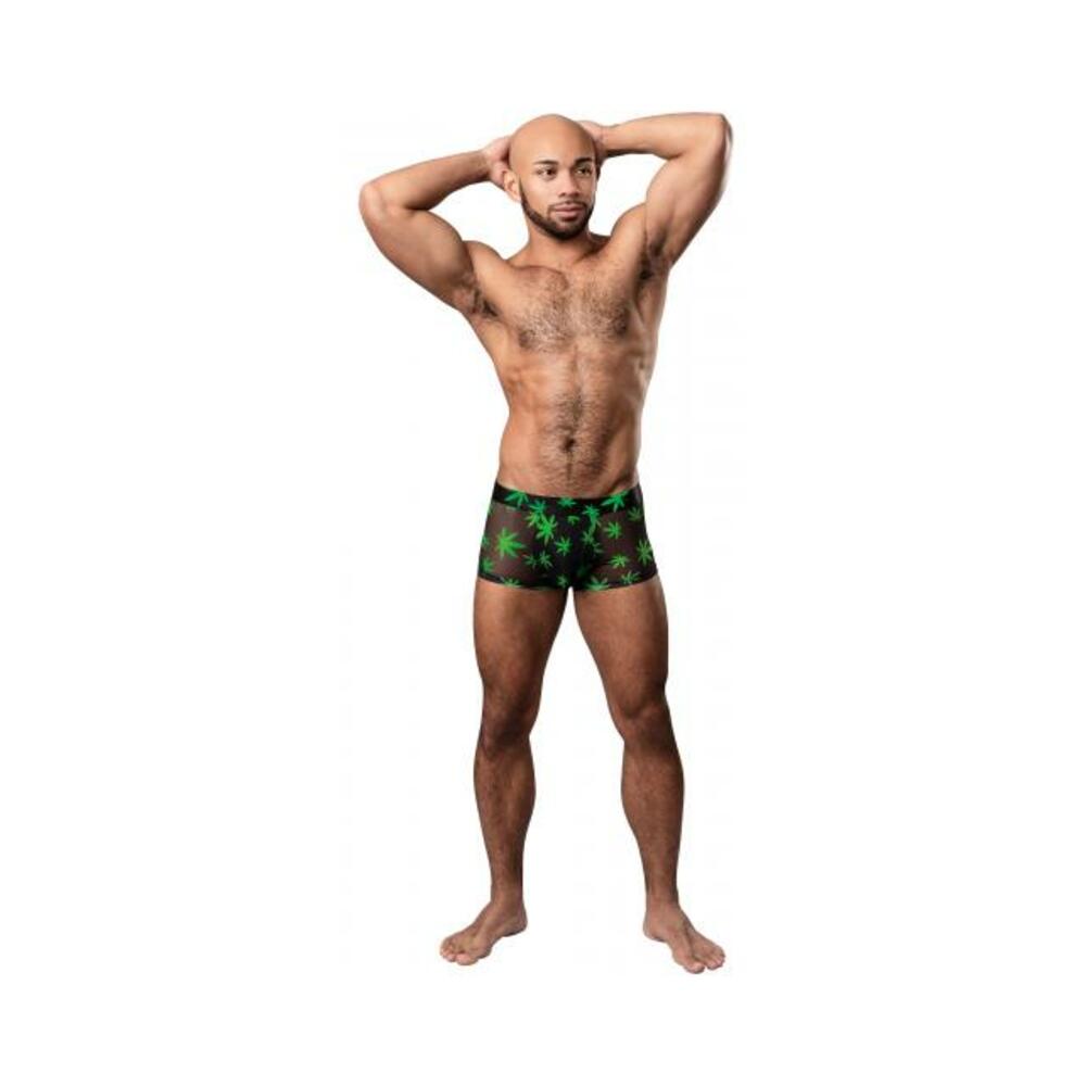 Hazy Dayz Pouch Short Potleaf Small