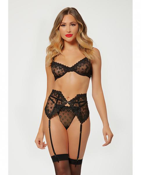 Valentines Heart Embroidered Mesh Bra, Waspie & Panty Black Lg