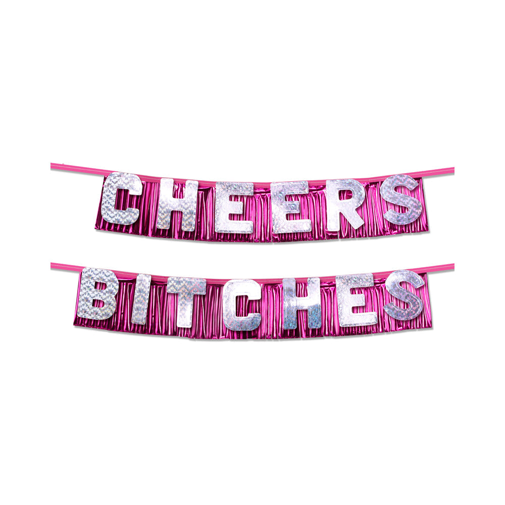 Bachelorette Party Favors "cheers Bitches" Party Banner
