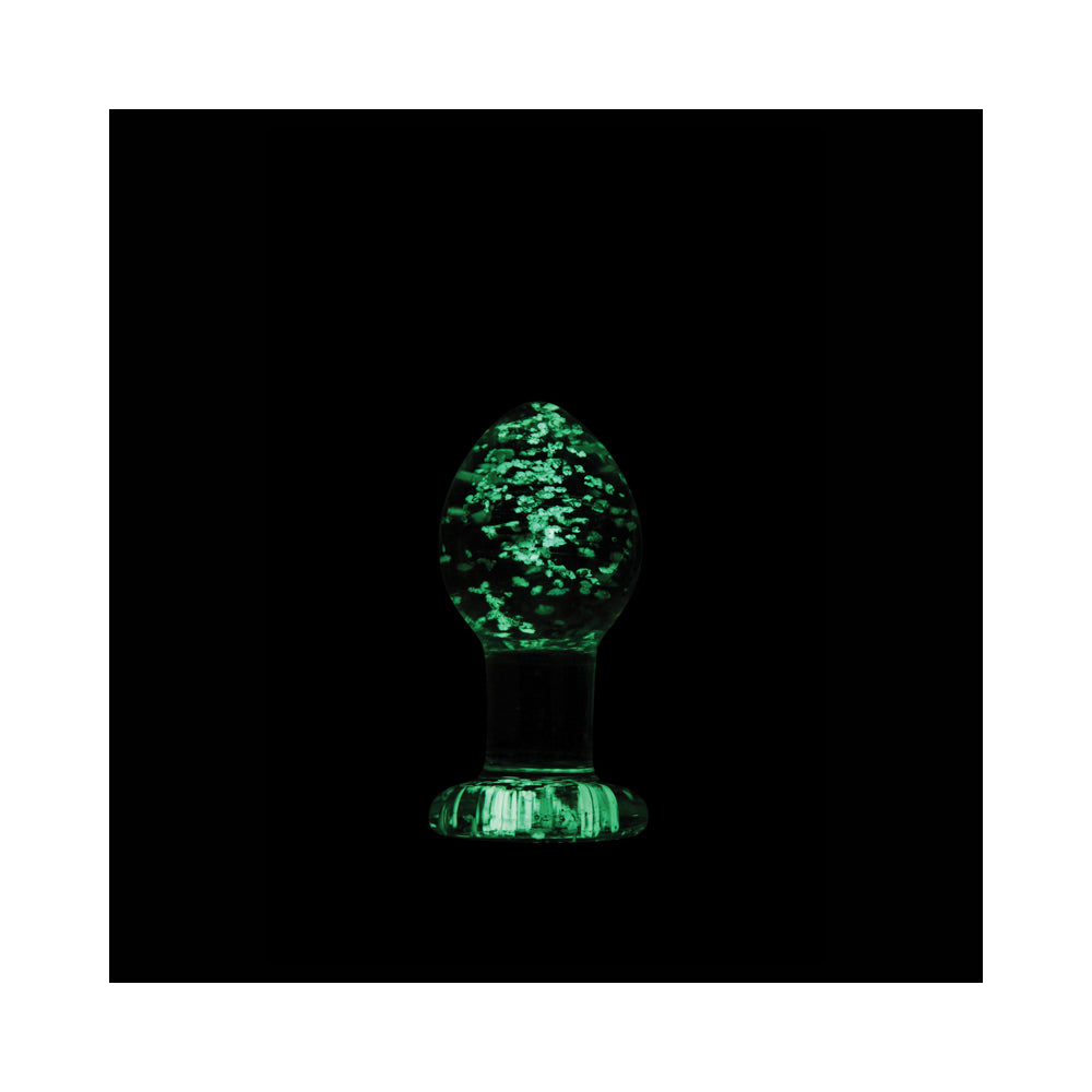 Firefly Glass - Plug - Medium - Clear