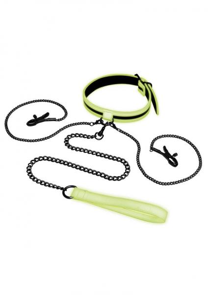 Whipsmart Gitd Collar Nipple Clip Leash